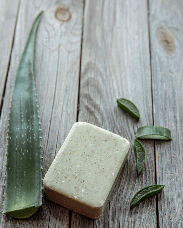 spa-composition-with-natural-fleece-soap-and-aloe-JADA7ZB-1.jpg